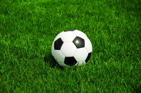 使用流程示意图